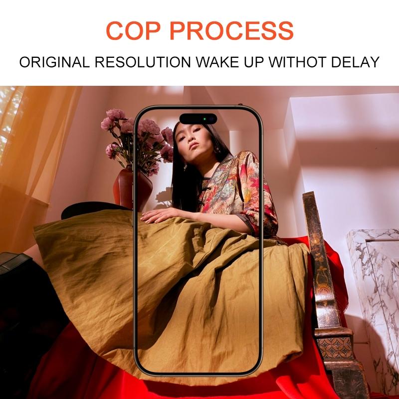 For iPhone 13 Pro Max DD Hard OLED Screen, Remove IC Need Professional Repair