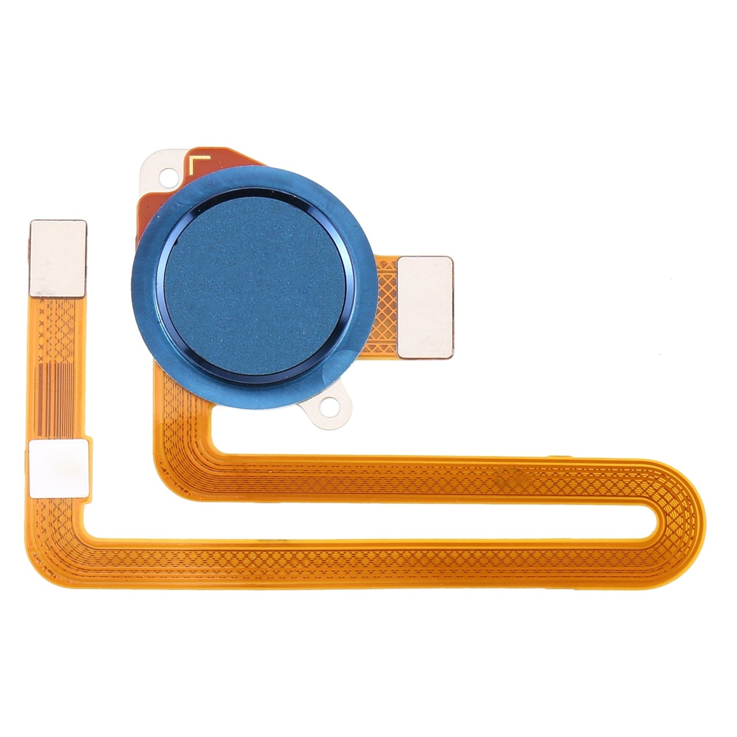 Fingerprint Sensor Flex Cable for Motorola Moto G8 Power(Blue)