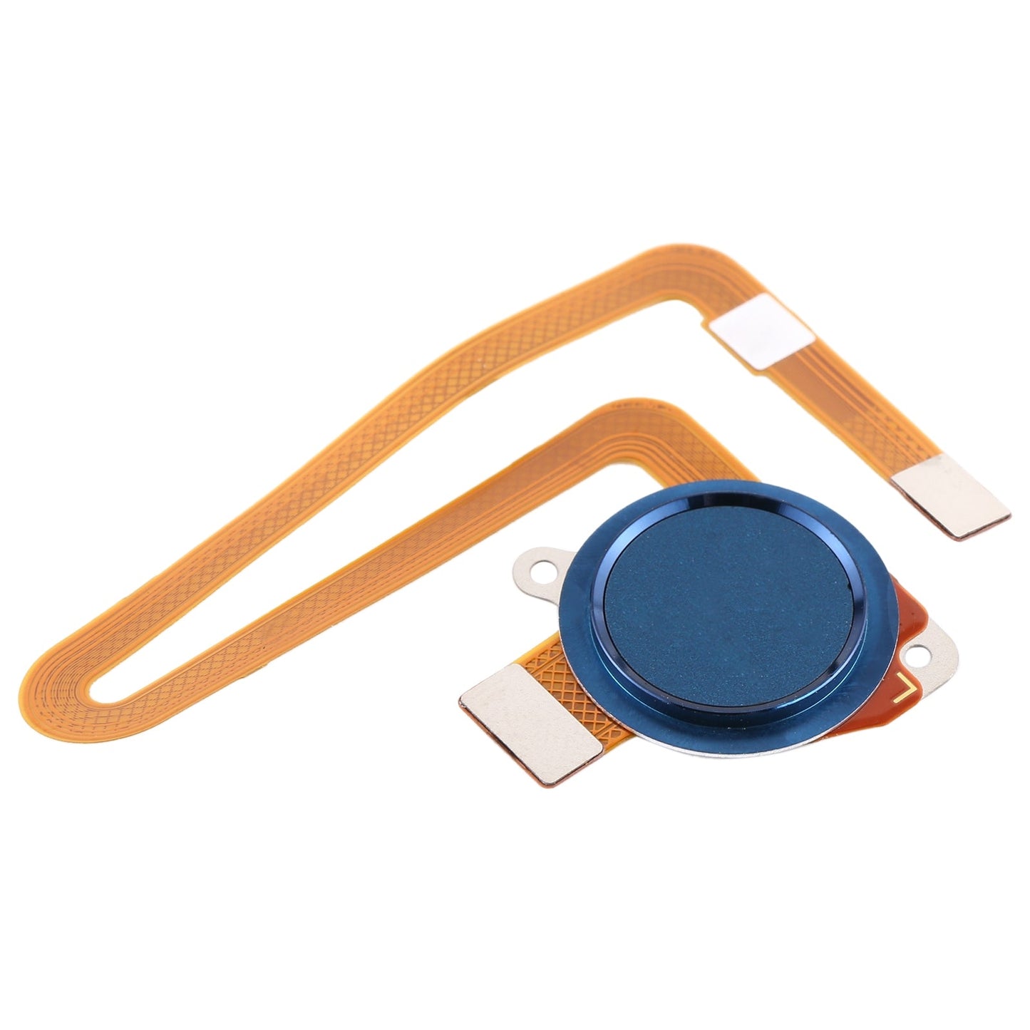 Fingerprint Sensor Flex Cable for Motorola Moto G8 Power(Blue)