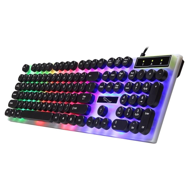 Chasing Leopard G21 USB 104-keys Waterproof Floating Round Punk Keycap Colorful Backlight Mechanical Feel Wired Keyboard, Length: 1.3m (White)