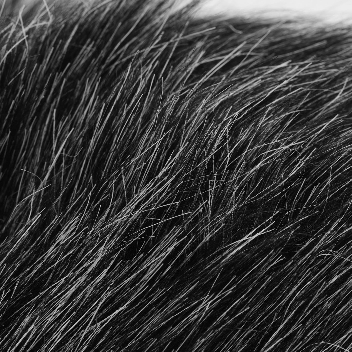 On-camera Microphone Furry Windscreen Mic Windshield Cover - Large