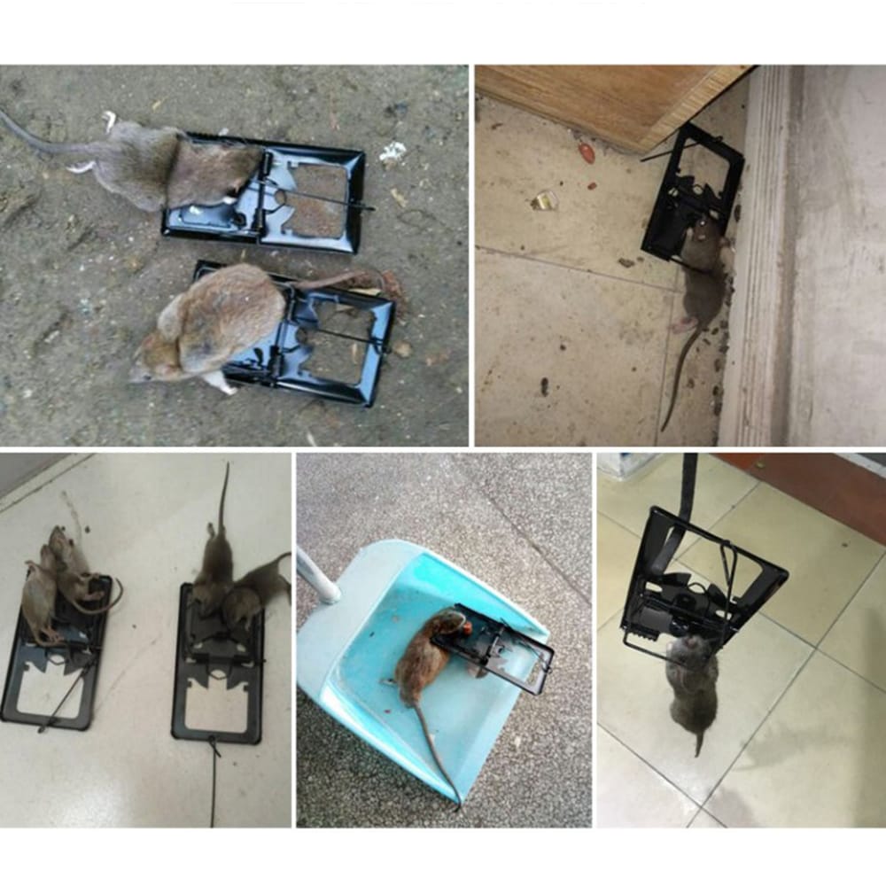 Mouse Trap Catcher Rodent Traps Mice Control Mice Snap Kill