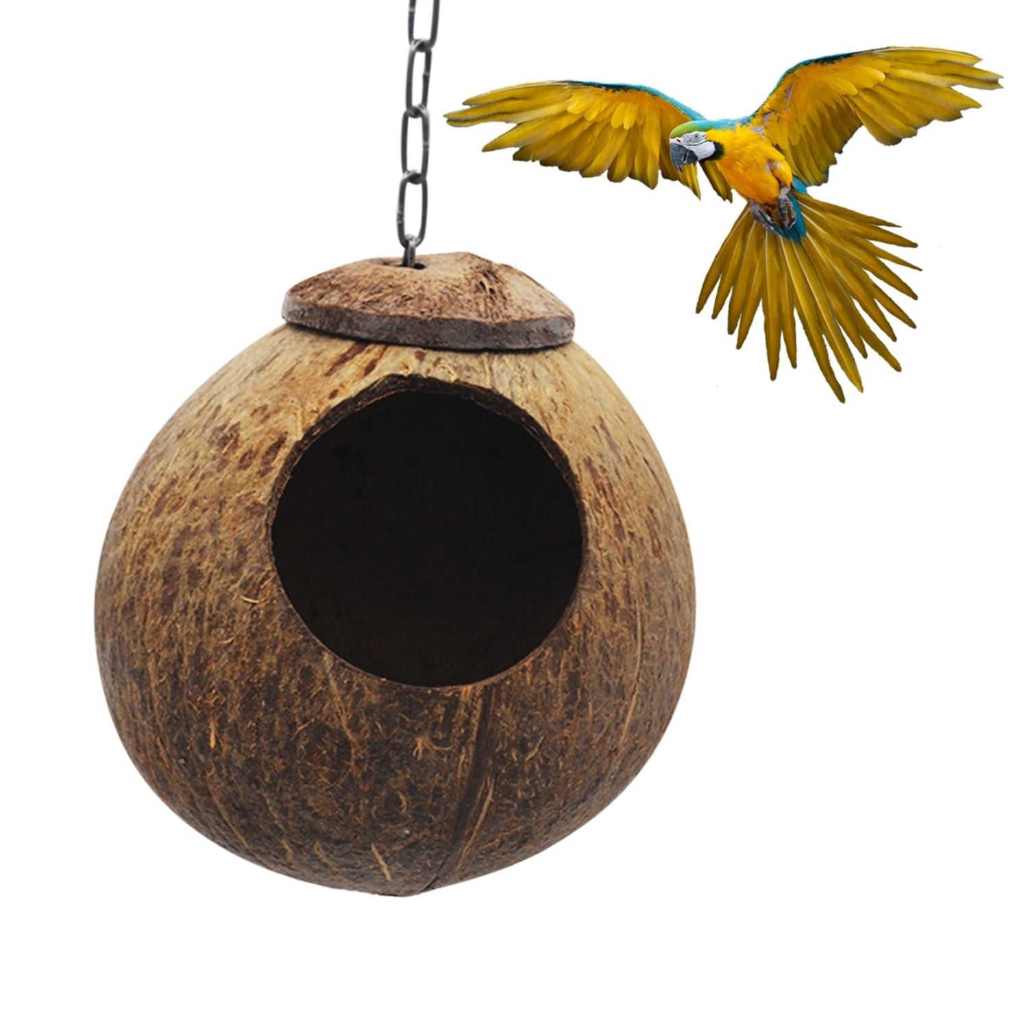 Coconut Bird Hut With Opening Coco Shell Bird House For UNIQKART coconut-bird-hut-with-opening-coco-shell-bird-house-for-uniqkart