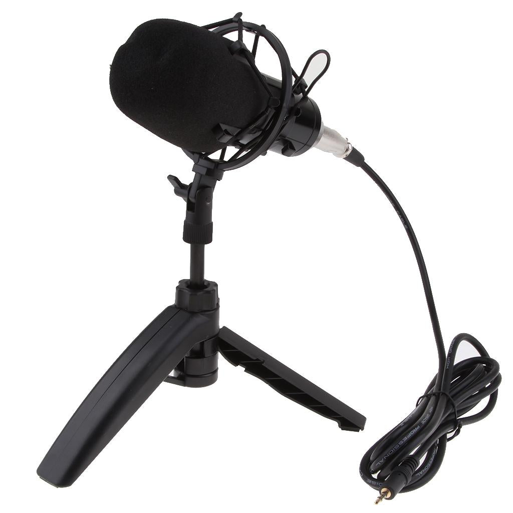 USB Table Studio Condenser Microphone with Tripod Stand Filter Shield Silver