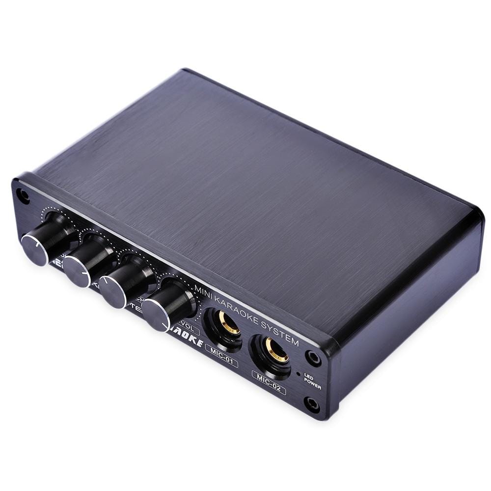 A933 Mini Karaoke Machine System Sound Mixer Amplifier for PC / TV / Mobile Phones, Support RCA in / 2 Channel Mic in (Black)