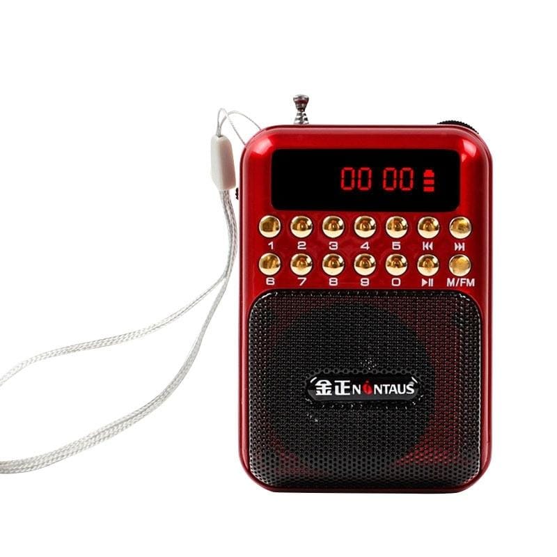 Portable Rechargeable FM Radio Receiver Speaker, Support USB / TF Card / Music MP3 Player (Red)