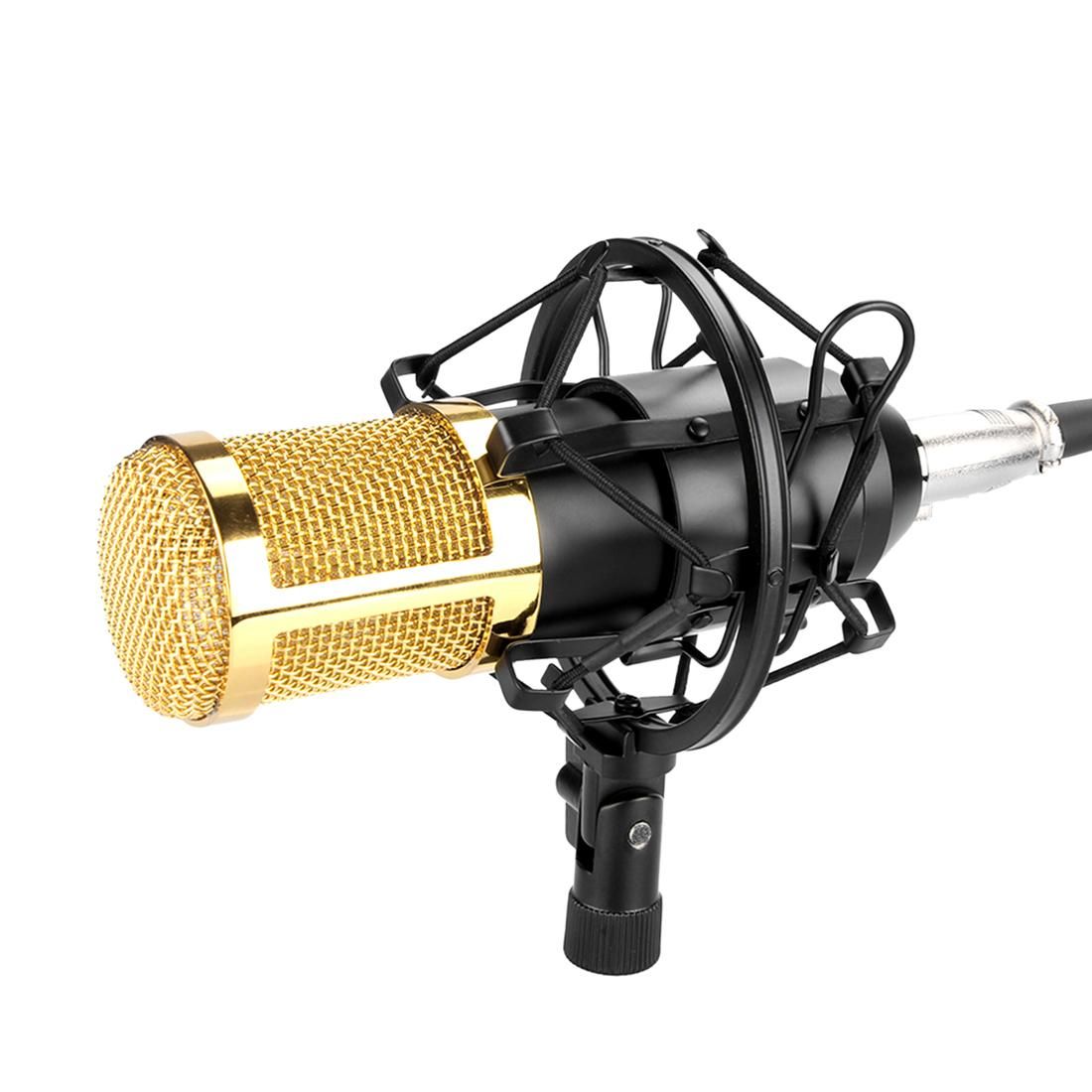 FIFINE F-800 Professional Condenser Sound Recording Microphone with Shock Mount for Studio Radio Broadcasting & Live Boardcast, 3.5mm Earphone Port, Cable Length: 2.5m (Black)