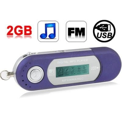 2GB MP3 Player with LCD Screen, Support FM Radio, Work with AAA battery, Use as USB Flash Disk (Blue)