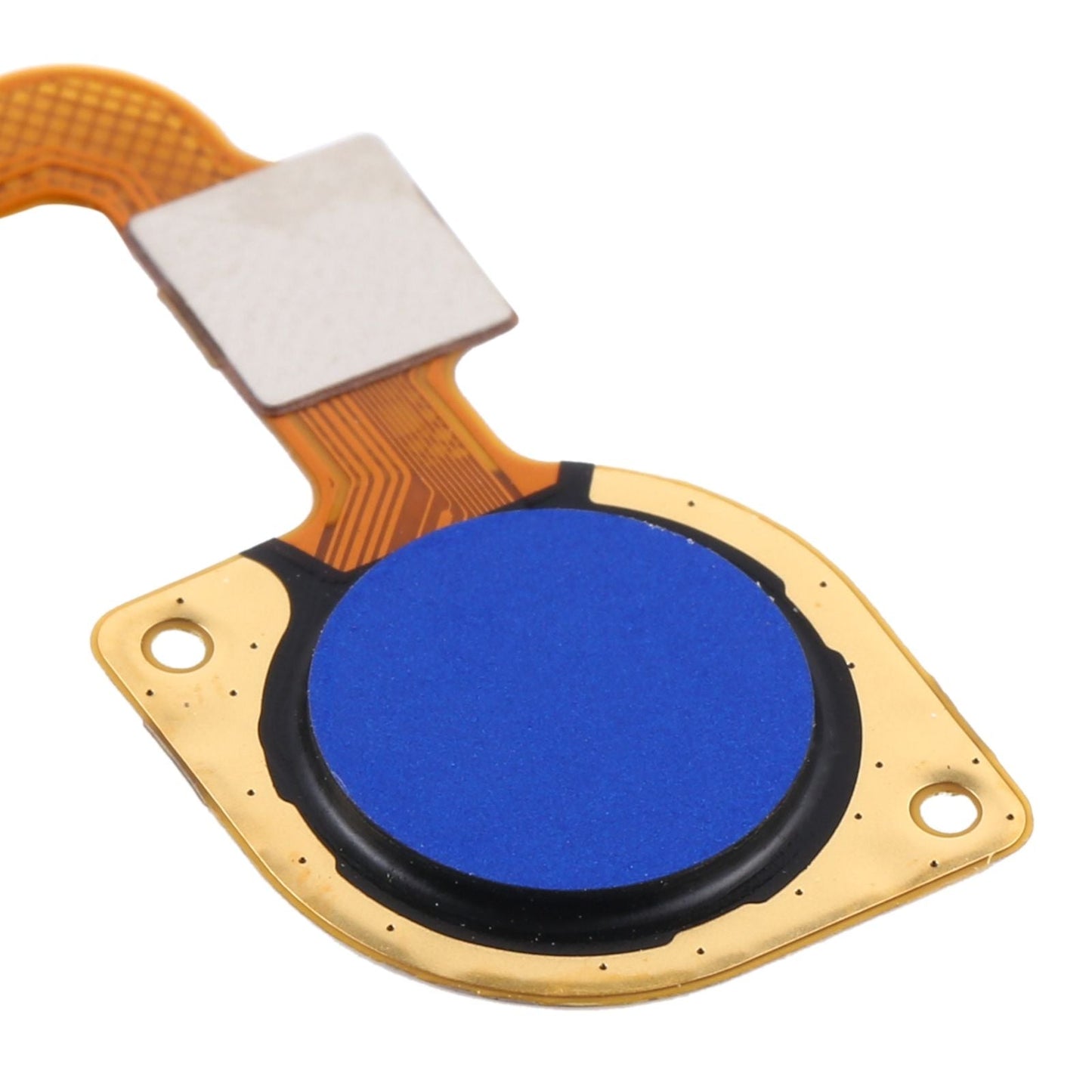 Fingerprint Sensor Flex Cable for Xiaomi Redmi 9C (Blue)