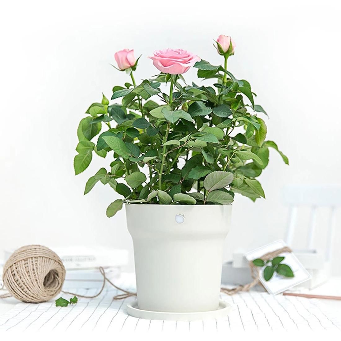 Original Xiaomi Mi Smart Monitoring Bluetooth Flower Pot with Indicator LED Light (White)