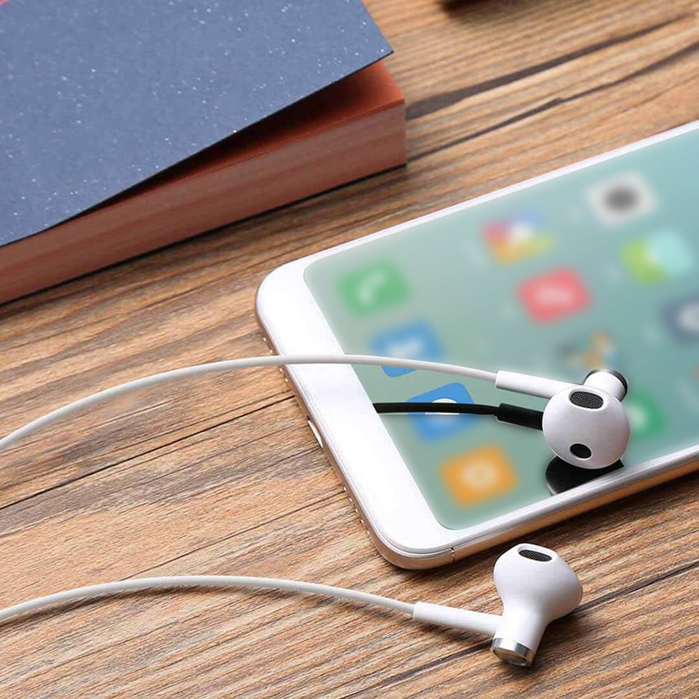 Xiao-mi USB Type-C Earphones Wired Control Dual-Unit Earbuds