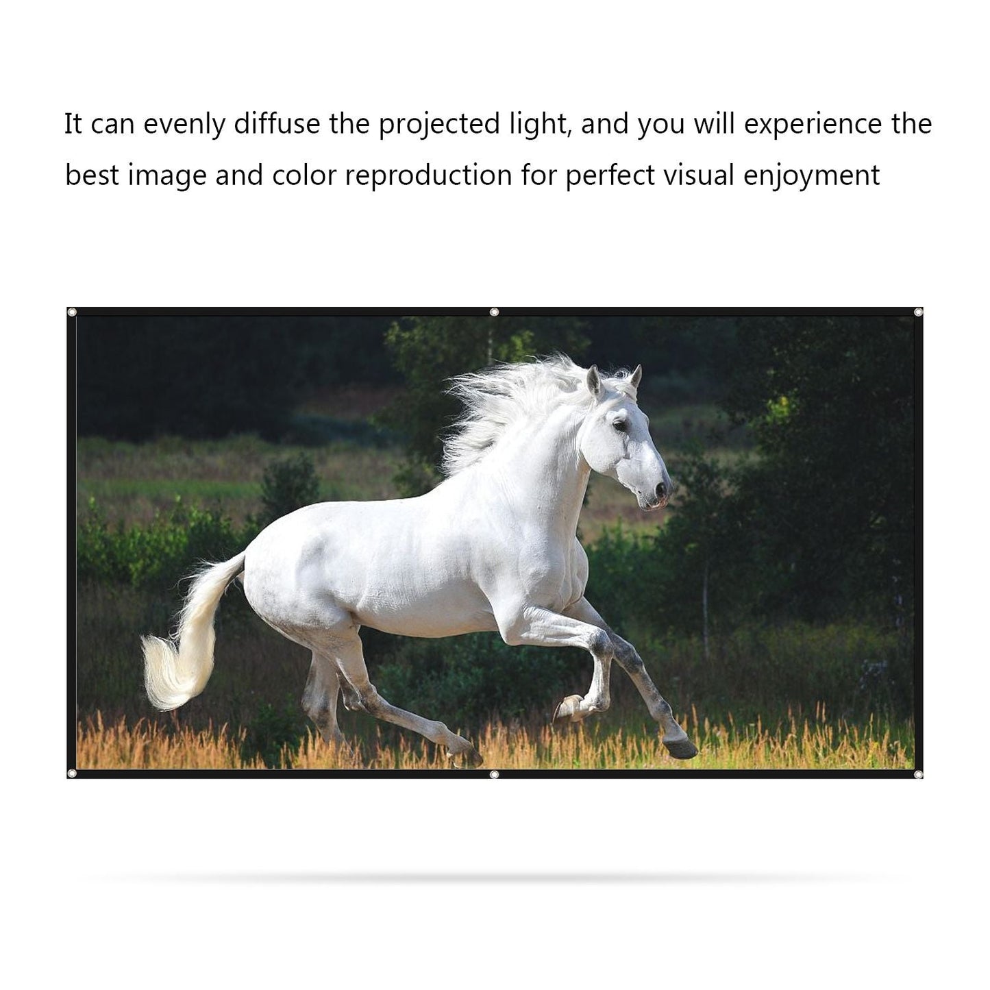 150 inches Projector Screen Widescreen 16:9 Portable - 150 inches