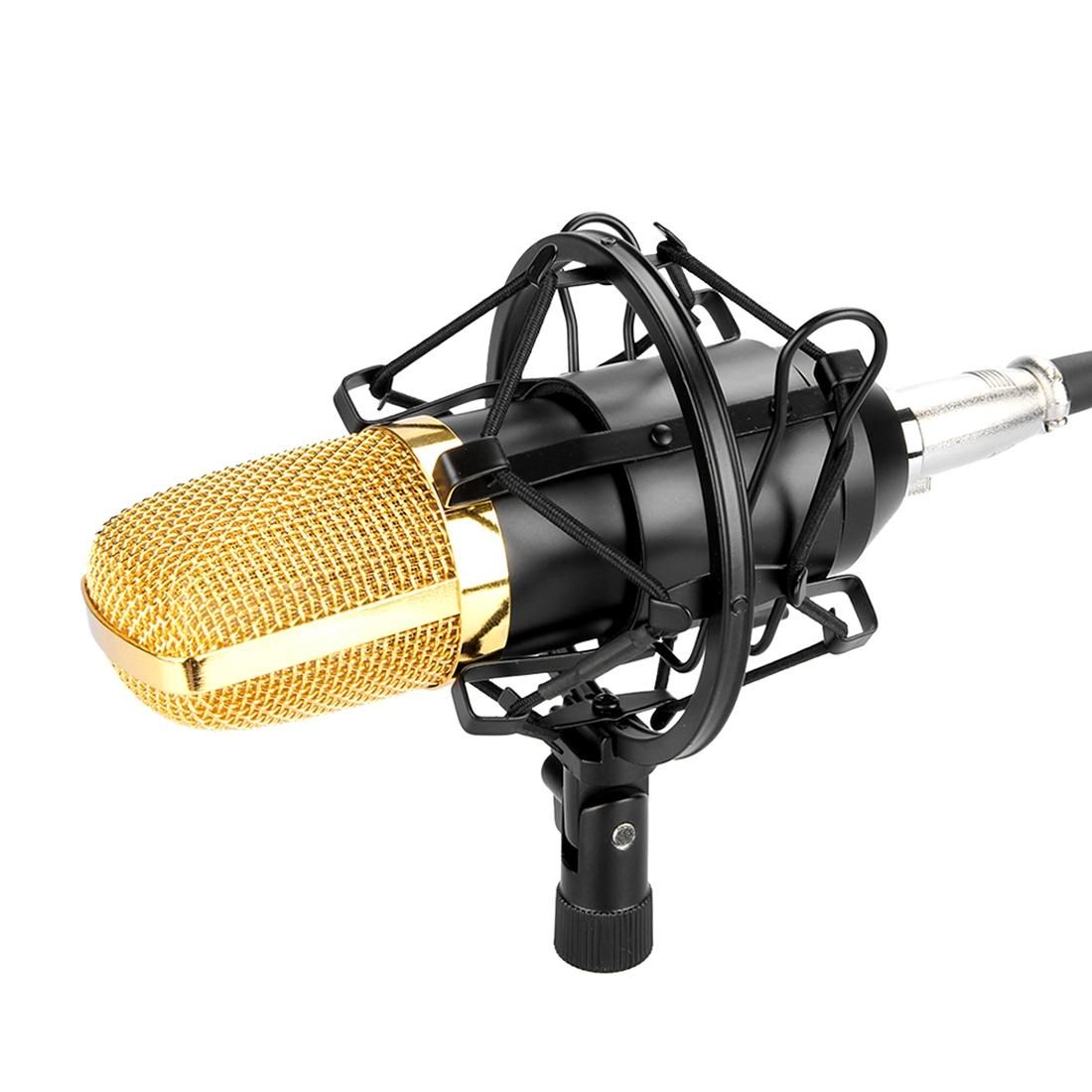 FIFINE F-700 Professional Condenser Sound Recording Microphone with Shock Mount for Studio Radio Broadcasting & Live Boardcast, 3.5mm Earphone Port, Cable Length: 2.5m (Black)