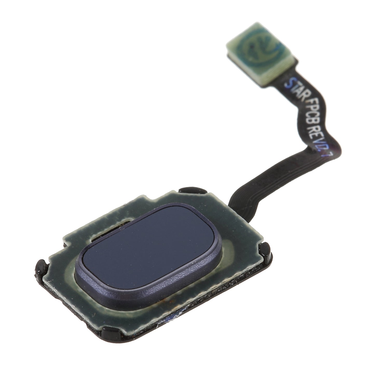 For Samsung Galaxy S9 G960/S9+ G965 OEM Home Key Fingerprint Button Flex Cable (without Logo) - Blue