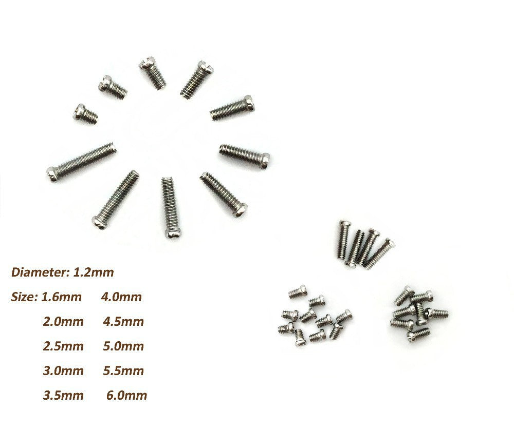 10 Models Stainless Steel Watch Screws Set
