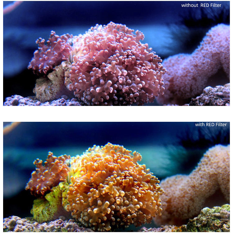 2 in 1 SUNNYLIFE OA-FI180 Lens Red + Purple Diving Filter for DJI OSMO Action