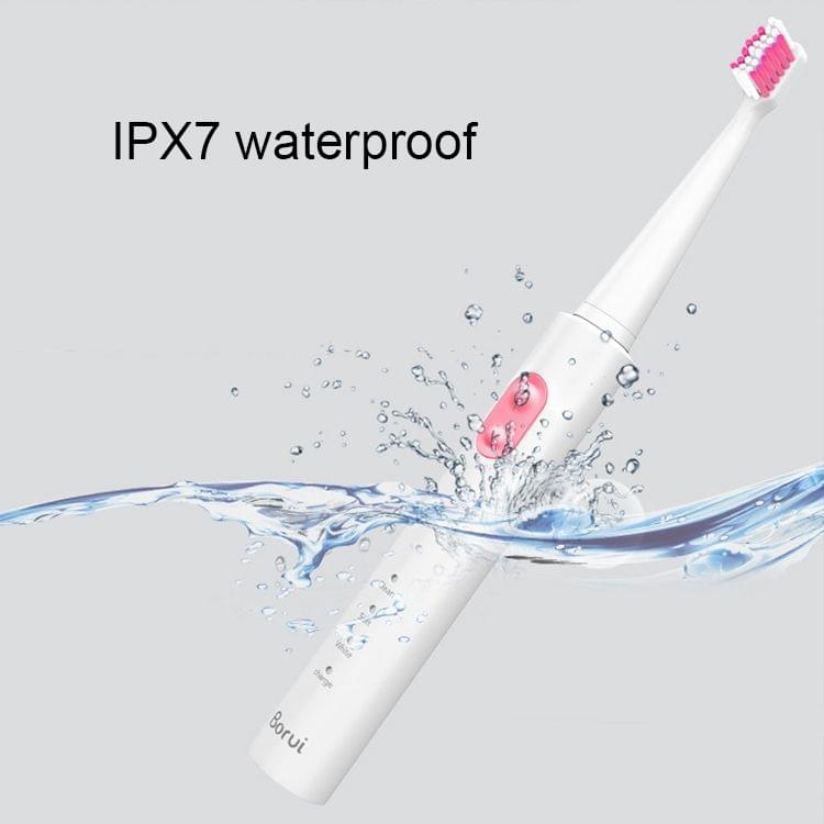 USB Wireless Charge Sonic Electric Toothbrush Adult Oral Hygiene Rechargeable Ultrasonic Tooth Brush with 4 Brush Heads (Black Plating)