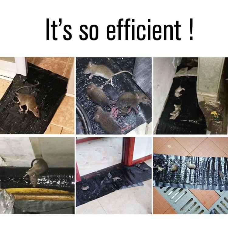 2 pcs Mouse Rodent Glue Rat Trap Board Mice Killer Length:1.2m