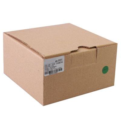 1/3 SONY 520TVL Color CCD Camera(White)