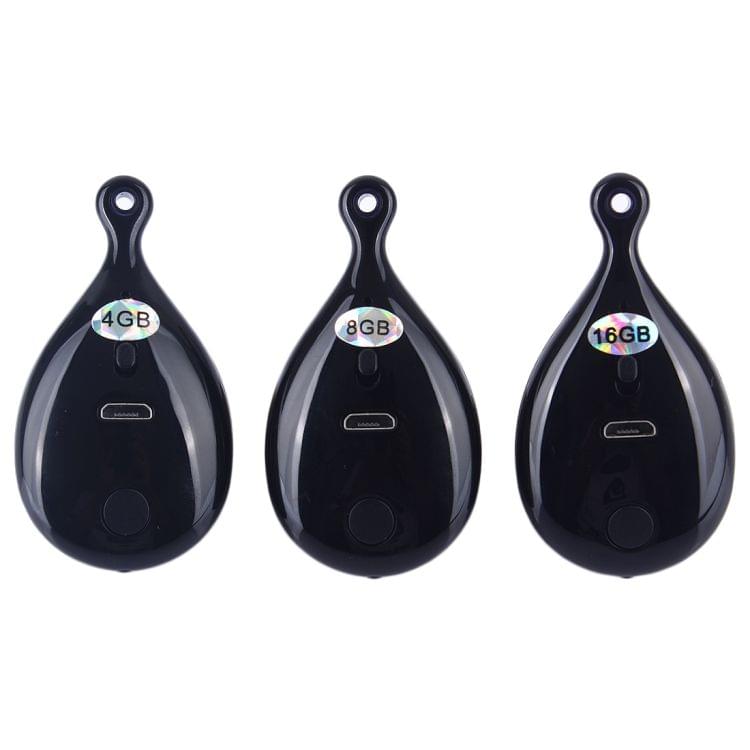 UR-28 Portable Pendant Style Professional Audio Voice Recorder, 8GB, Support WAV