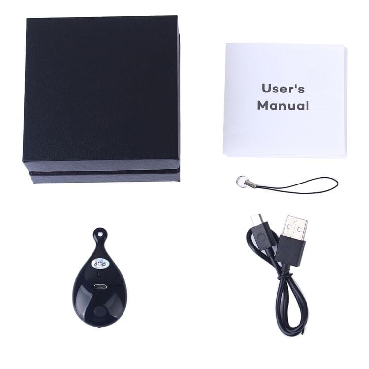 UR-28 Portable Pendant Style Professional Audio Voice Recorder, 8GB, Support WAV