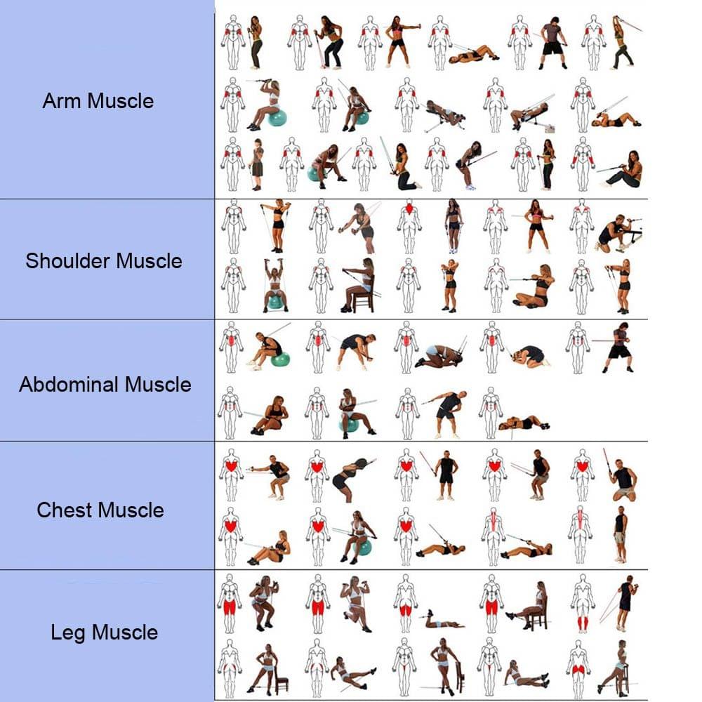 Natural Rubber Latex Fitness Resistance Band Resistance Rope Exerciese Tube Elastic Exercise Band for Yoga Pilates Workout