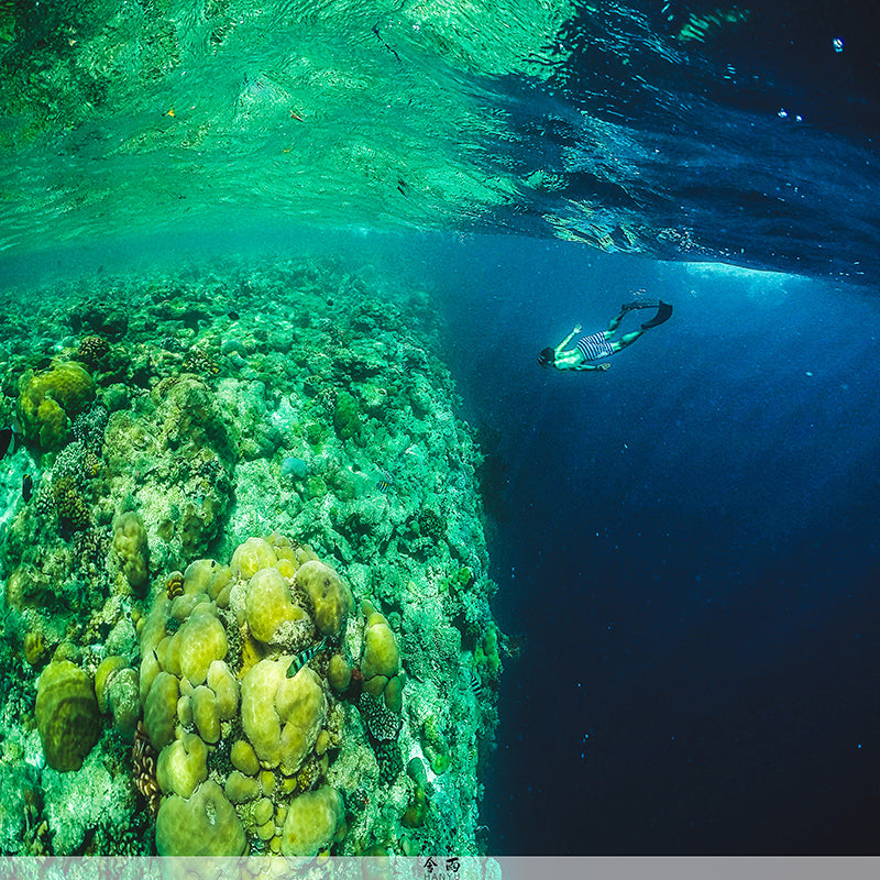 Uniqkart GP-DMP-T05 30M Waterproof Dome Port Underwater Housing Case Cover with Floating Handle Trigger for GoPro Hero 7/6/5