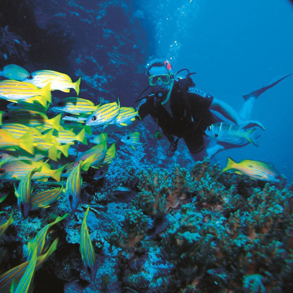 X6000-11 Mini Action Camera 2.0" LCD Screen 1080P Camera Multifunctional Waterproof Riding Recorder for Outdoor Photography - Yellow