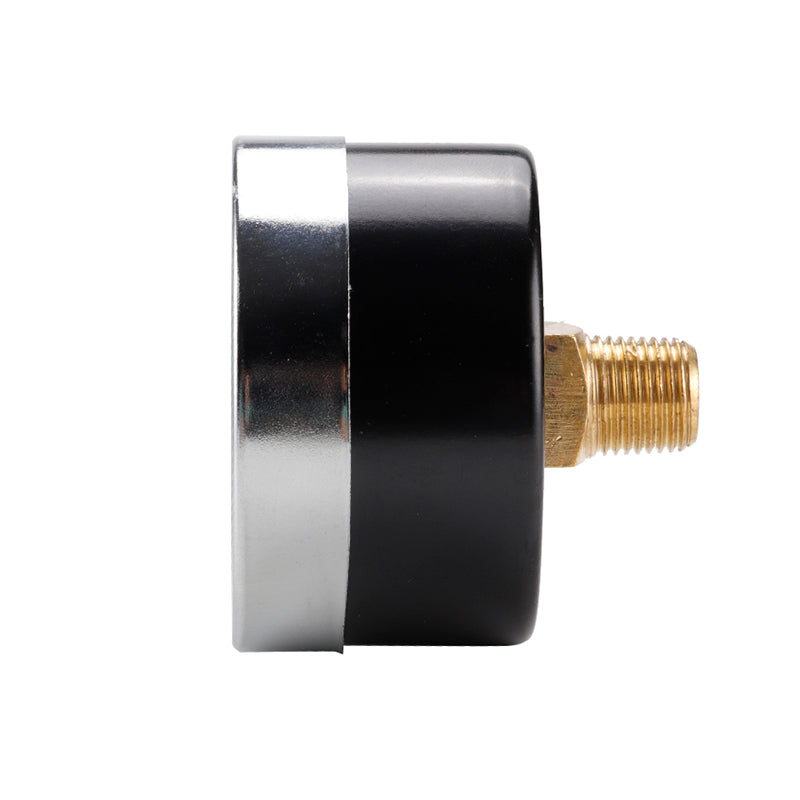TS-Z51 Dual Scale Economic Pressure Gauge Water Pressure Gauge Stainless Steel 1 / 8inch NPT Lower Mount
