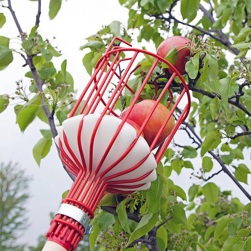 Iron Wire Fruit Picker Detachable Deep Basket Peach Pear Catcher Garden Fruit Picking Tool - Blue
