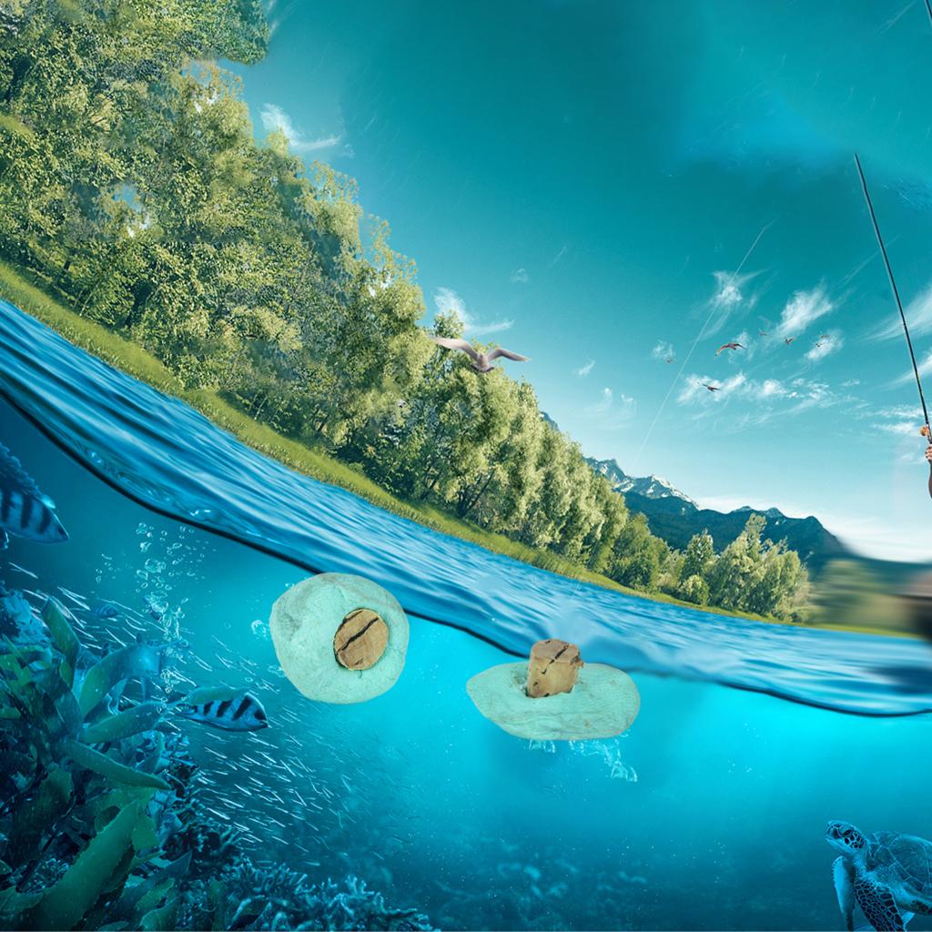 10x Super buoyant 6mm Cork sticks for oak ups and wafter Carp fishing baits