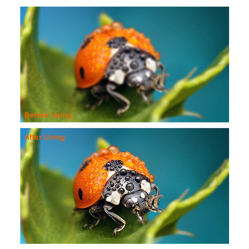 XIAOTIAN Mobile Phone Lens Professional Shooting Lens External HD Camera Fill Light + Ultra-Clear Lens Set with Ultra-Wide Angle + Macro + Fisheye