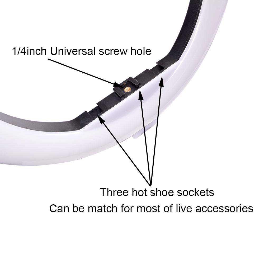 YQ-320A 12" 30W Dimmable LED Ring Light with Remote Control and Touch Key - EU Plug