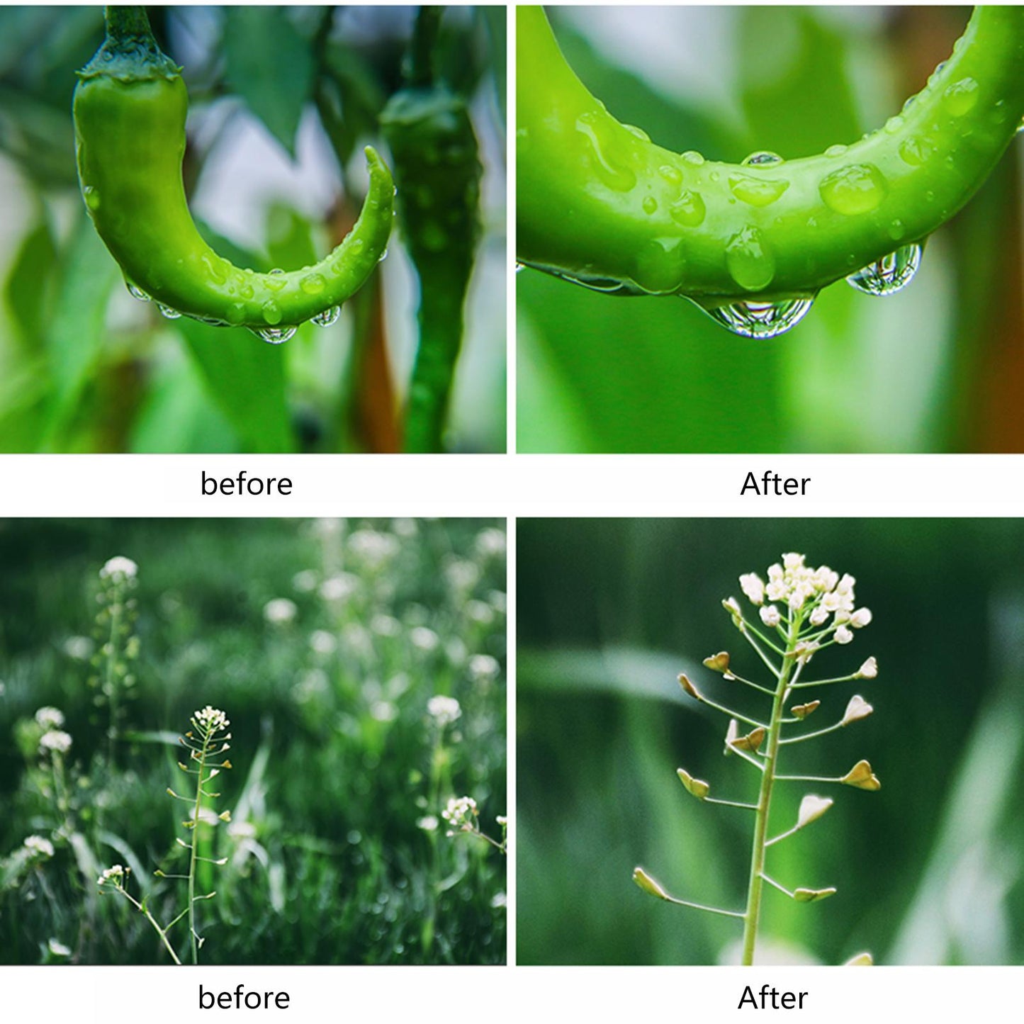 10x Macro Lens Camera 75mm Phone Lense Camera Kit for 90% Smartphones