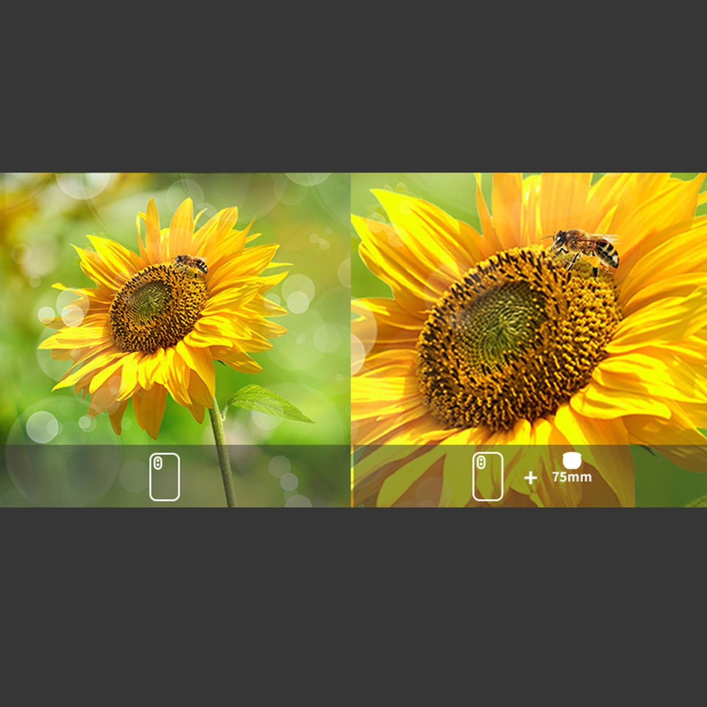 10x Macro Lens Camera 75mm Phone Lense Camera Kit for 90% Smartphones