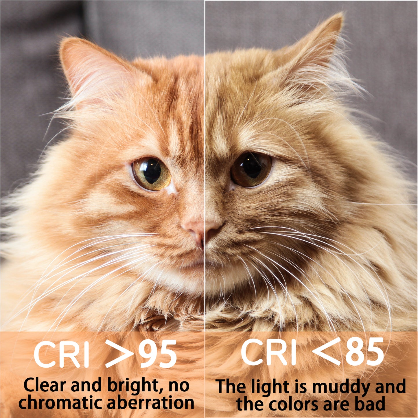 ADAI R60 Mini RBG Livestreaming Colorful Fill Light Ambient Lighting for Video/Vlog/Photography