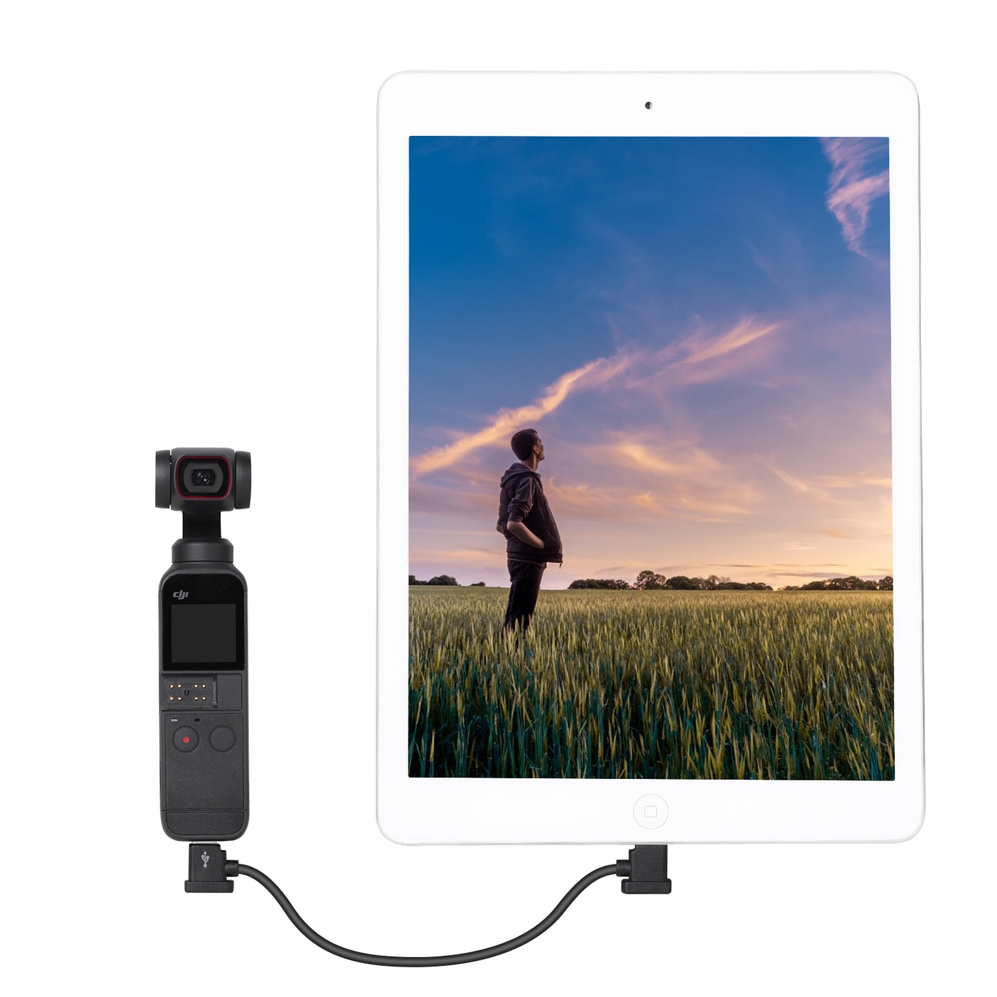 SUNNYLIFE 30cm Type-C to Lightning Cable for DJI Air 2S/Mini 2/Air 2/Pocket 2/Osmo Pocket Controller Accessories Data Cable Compatible with Tablets Phones