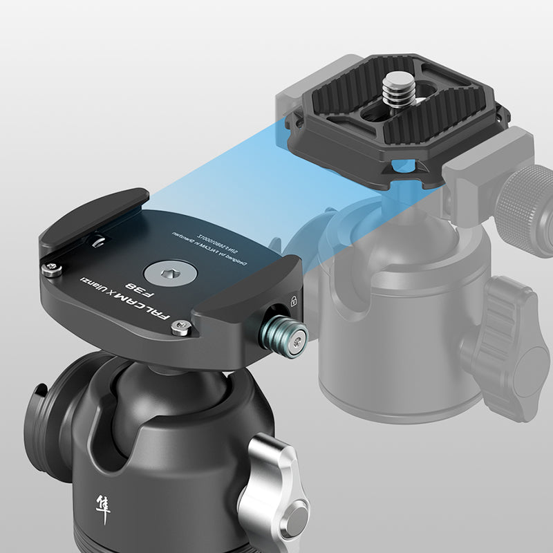 FALCAM 2764 F38 Ball Shaped Quick Release 1 / 4inch Screw Gimbal for DSLR Camera Ballhead Ball Head