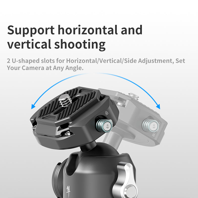 FALCAM 2764 F38 Ball Shaped Quick Release 1 / 4inch Screw Gimbal for DSLR Camera Ballhead Ball Head