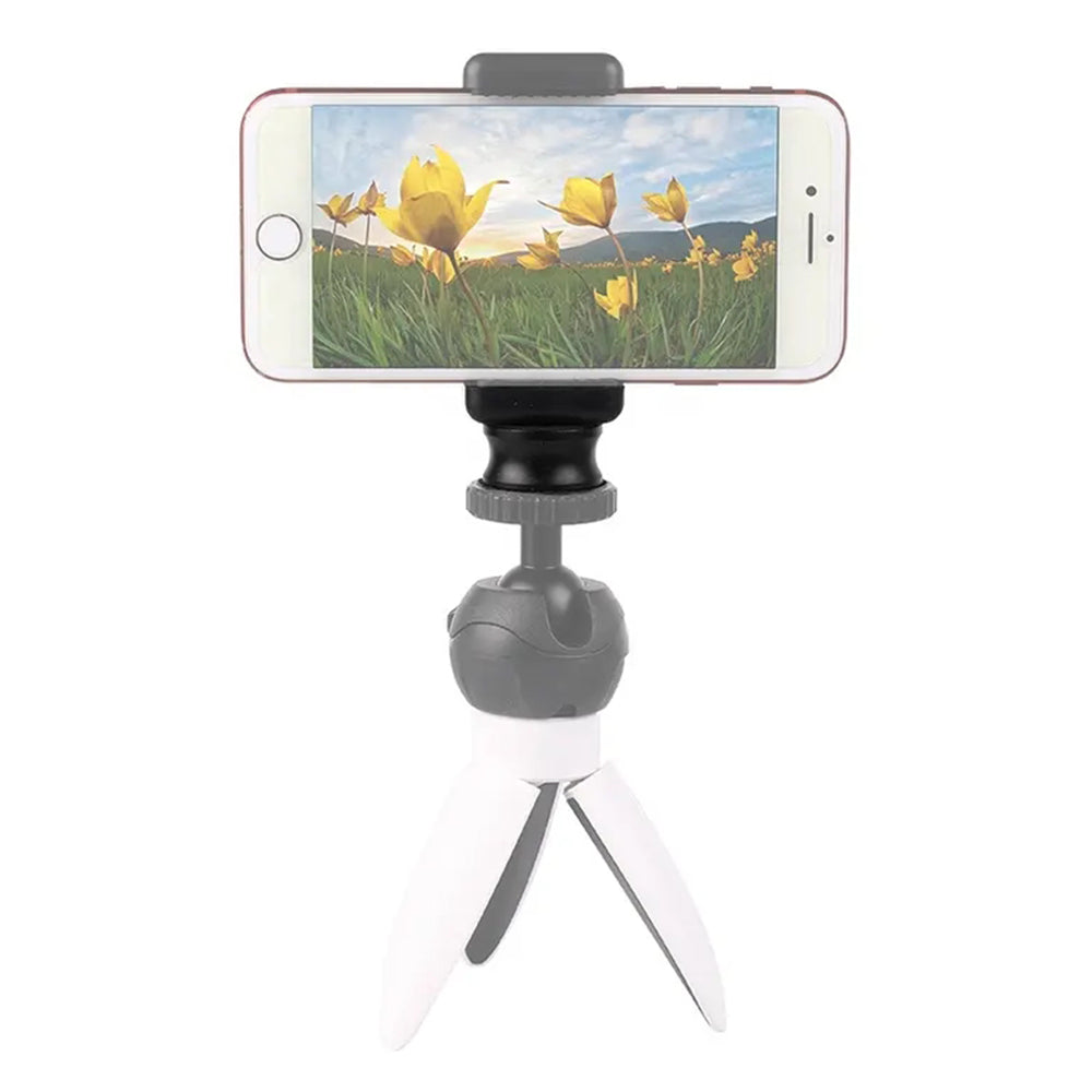 F041 For GoPro Camera Mount Converter Tripod Digital Camera 3 / 8" Female to 1 / 4" Male Screw Adapter