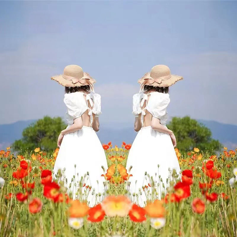 Mobile Phone Photography Reflection Mirror Outdoor Travel Photo Reflection Effect Auxiliary Tool with Clip for Cell Phone - White