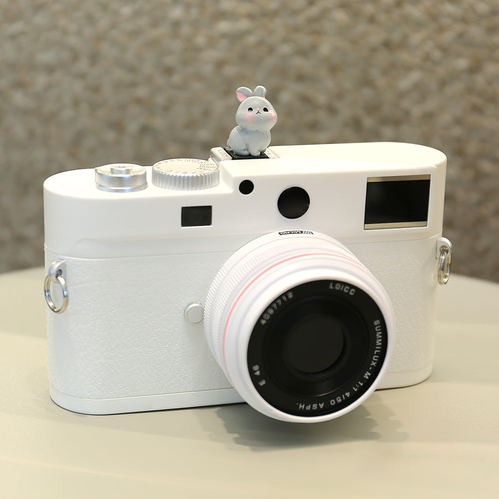 Resin+PVC Cute Cartoon Hot Shoe Protection Cover SLR Camera Dustproof Hot Shoe Cap - Grey Rabbit