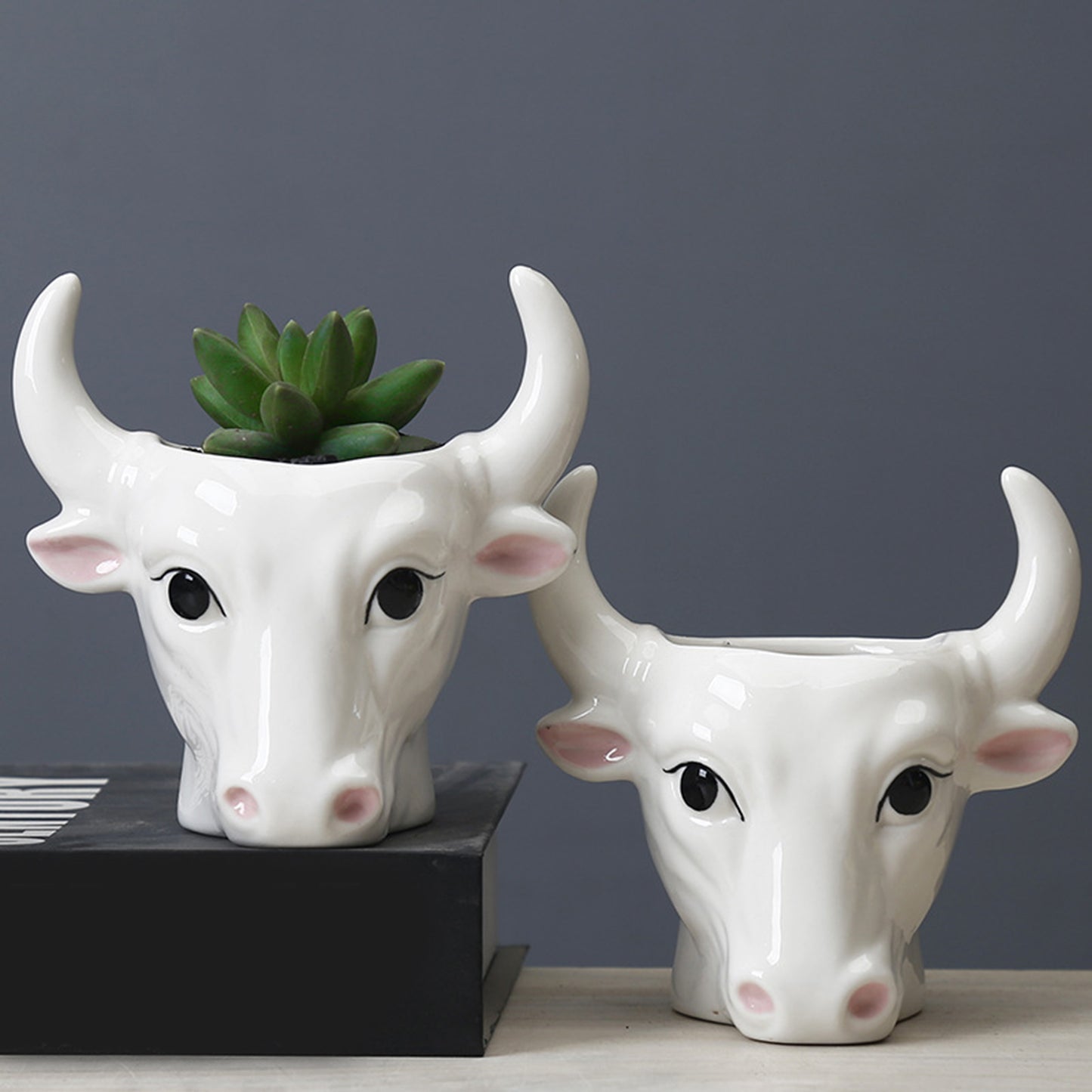 Mini Bull Succulent Pot Flower Plant Planter Flowerpot Office Home Balcony