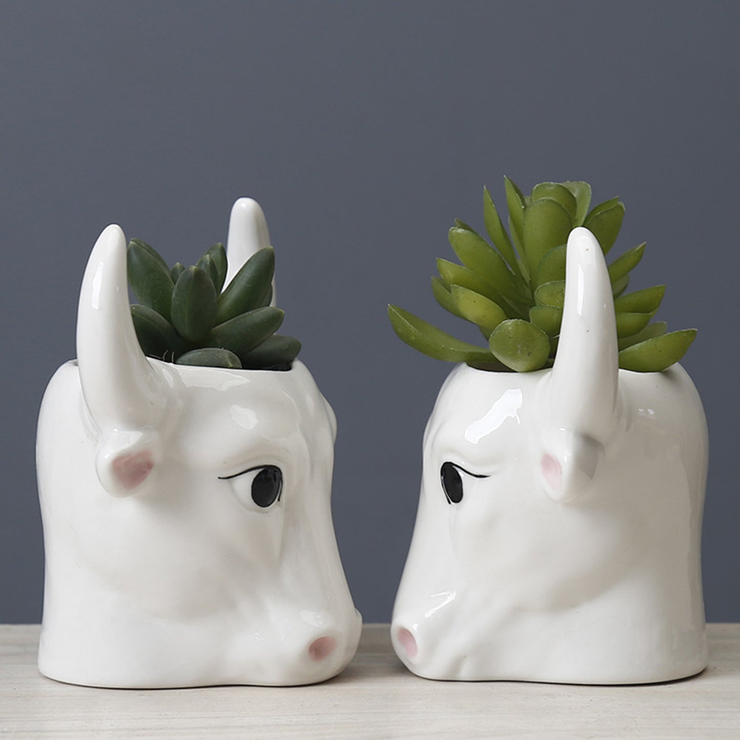 Mini Bull Succulent Pot Flower Plant Planter Flowerpot Office Home Balcony