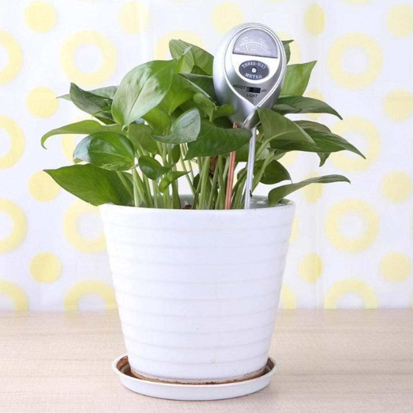 3-in-1 Soil Moisture Light and PH Acidity Tester Plant Tester Indoor Outdoor