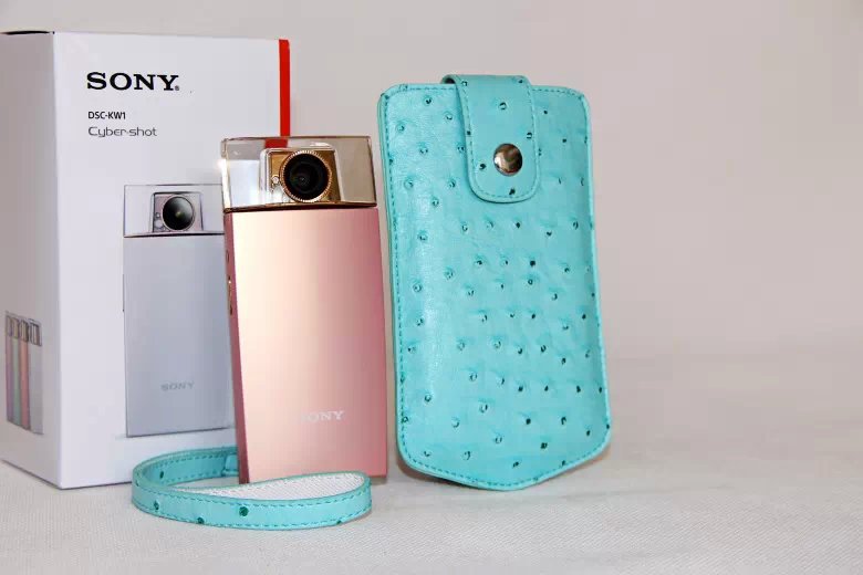 Ostrich Texture Vertical Leather Protection Cover Case for Casio TR500 Sony KW1 - Blue