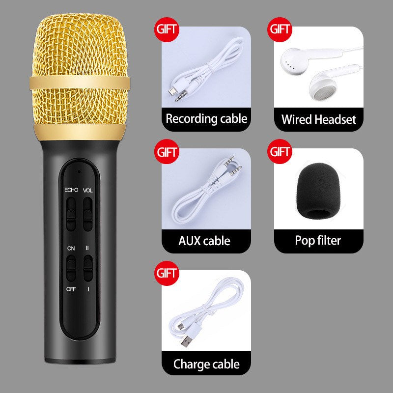 Audio Condenser Microphone Kit Vocal Studio Recording Set - Black