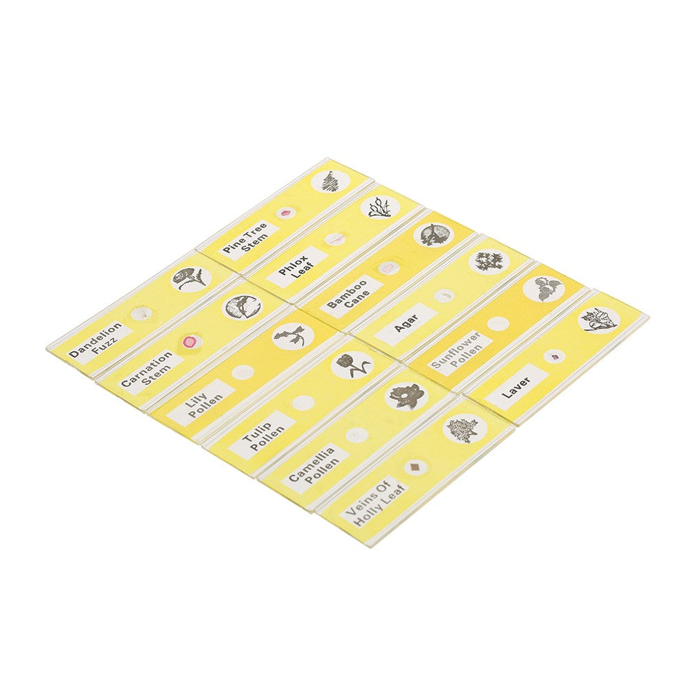 48Pcs/Set Plastic Prepared Microscope Slides Animals Insects Plants Sample Specimens Slides Set with Color Labels