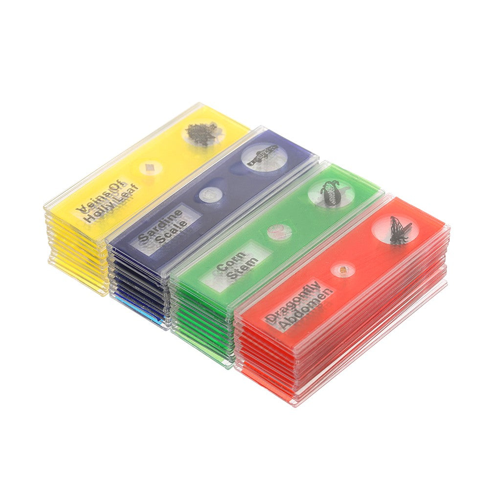 48Pcs/Set Plastic Prepared Microscope Slides Animals Insects Plants Sample Specimens Slides Set with Color Labels