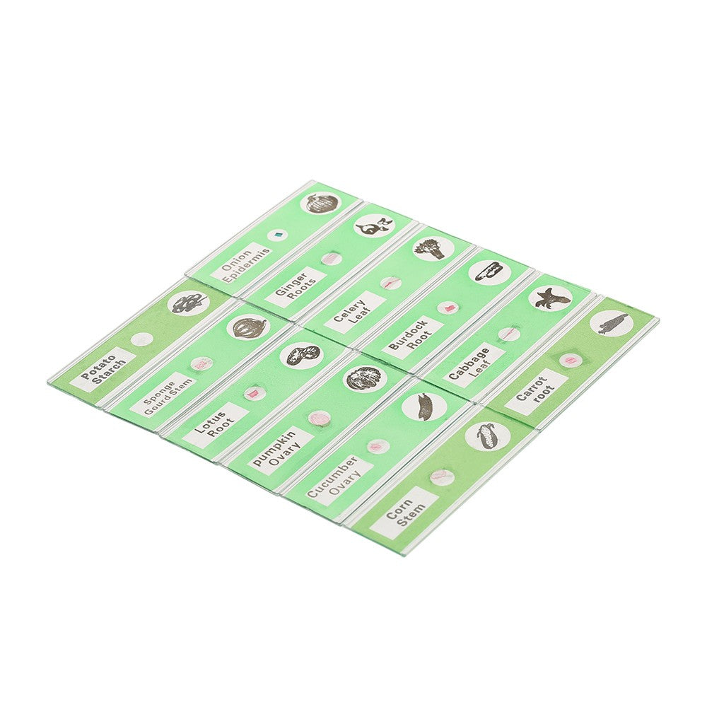 48Pcs/Set Plastic Prepared Microscope Slides Animals Insects Plants Sample Specimens Slides Set with Color Labels